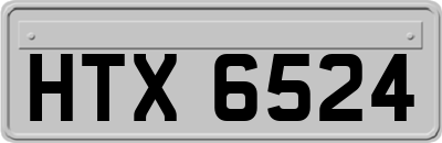 HTX6524