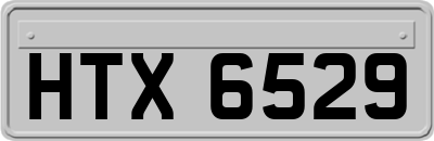 HTX6529