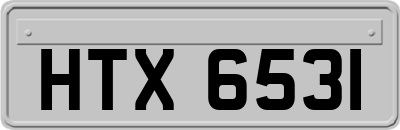 HTX6531