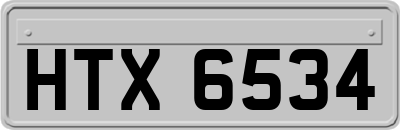 HTX6534