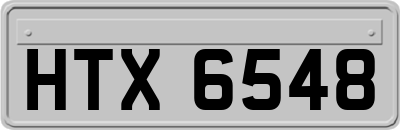 HTX6548