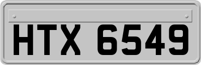 HTX6549