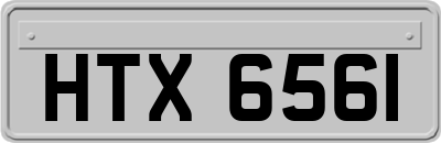 HTX6561