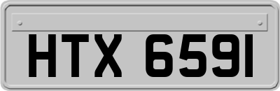 HTX6591