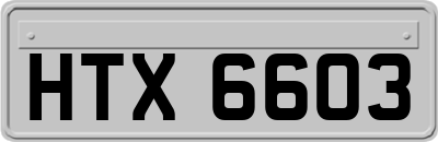 HTX6603