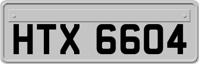 HTX6604