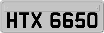 HTX6650