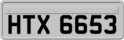 HTX6653