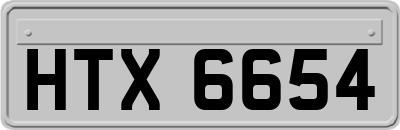 HTX6654