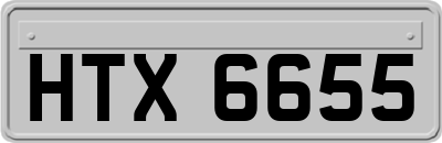 HTX6655