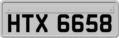 HTX6658