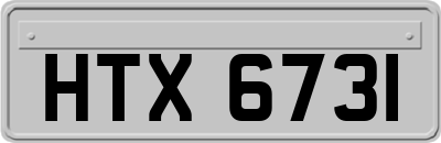 HTX6731