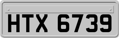 HTX6739