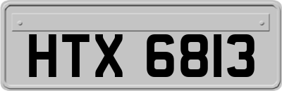 HTX6813