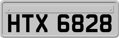 HTX6828