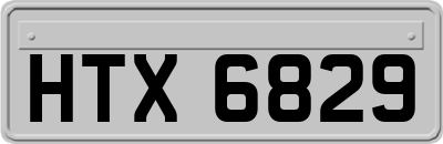 HTX6829