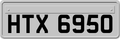 HTX6950