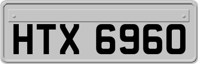 HTX6960