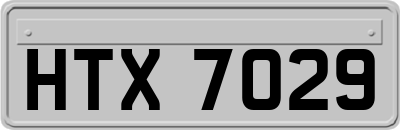 HTX7029