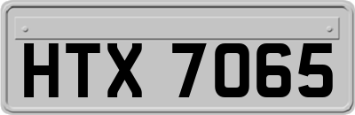 HTX7065