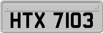 HTX7103