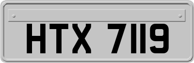 HTX7119