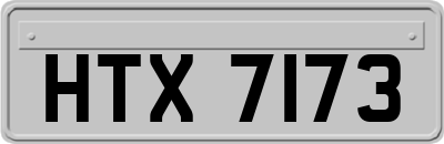 HTX7173