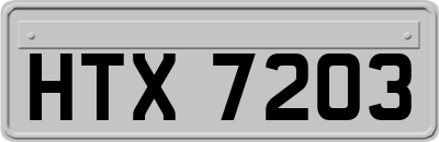 HTX7203