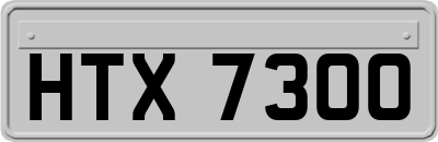 HTX7300