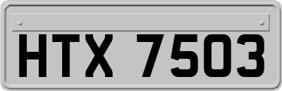 HTX7503