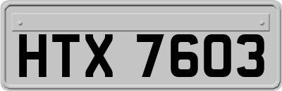 HTX7603