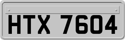 HTX7604