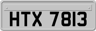 HTX7813