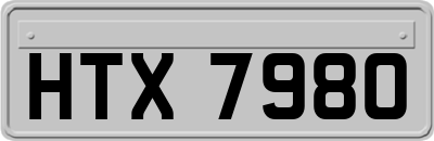 HTX7980