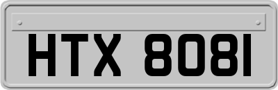 HTX8081