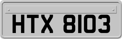 HTX8103