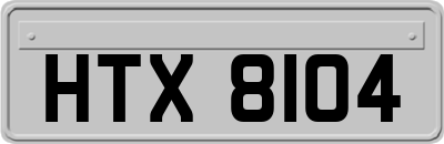 HTX8104