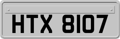 HTX8107