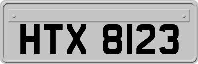 HTX8123