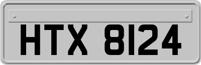 HTX8124