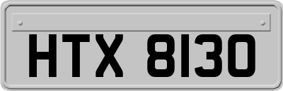 HTX8130