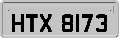 HTX8173