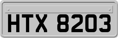 HTX8203