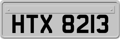 HTX8213