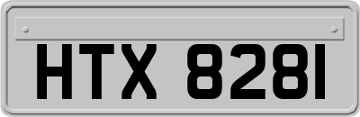 HTX8281