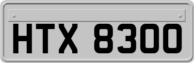 HTX8300