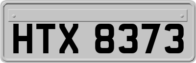 HTX8373