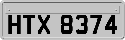 HTX8374