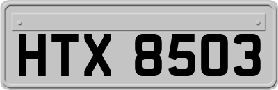 HTX8503