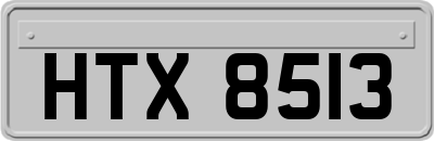 HTX8513